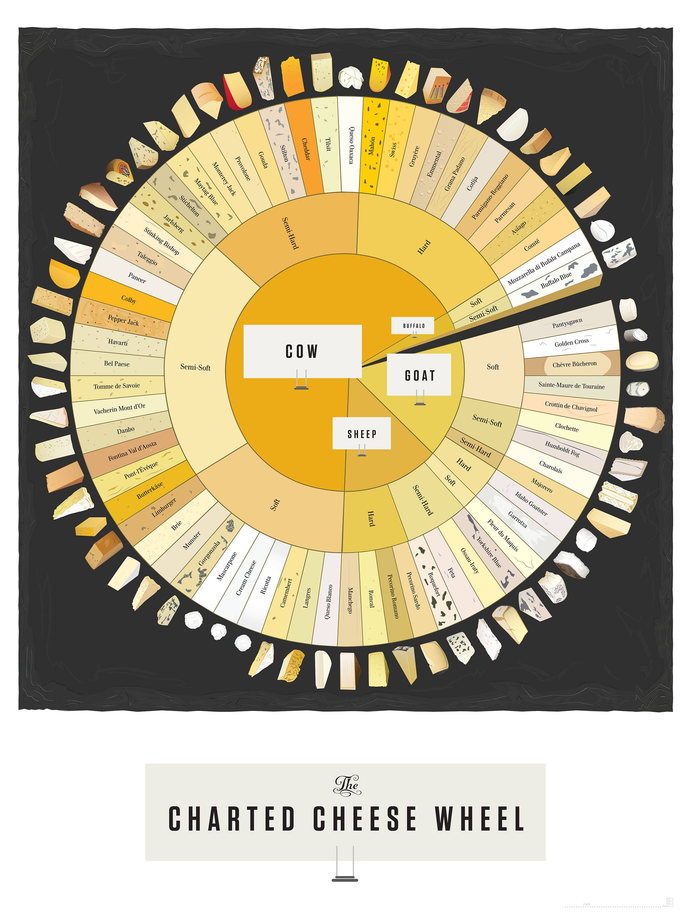 The charted cheese wheel infographic