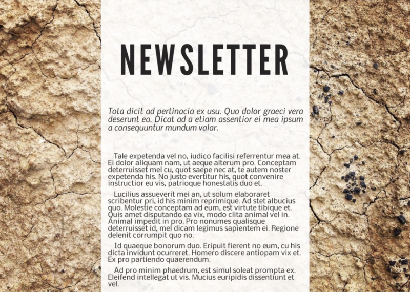 digital newsletter