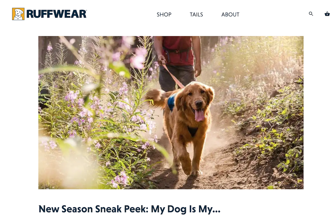 Image of Ruffwear's blog